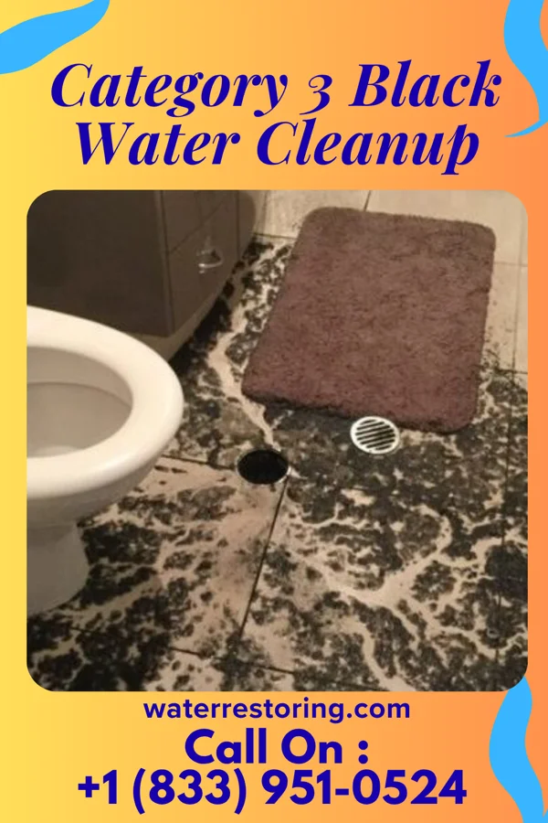 Category 3 Black Water Cleanup in Trenton, NJ