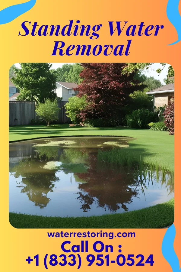Standing Water Removal in Trenton, NJ